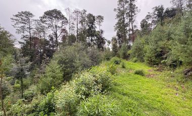 HUASCA TERRENO CAMPESTRE EN VENTA