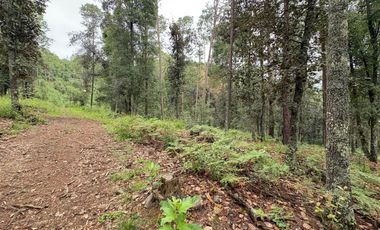 HUASCA TERRENO CAMPESTRE EN VENTA