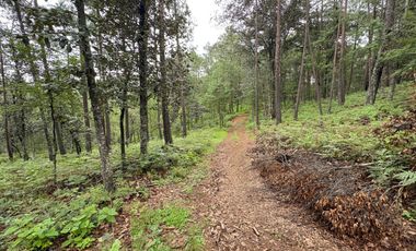 HUASCA TERRENO CAMPESTRE EN VENTA