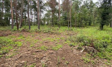 HUASCA TERRENO CAMPESTRE EN VENTA