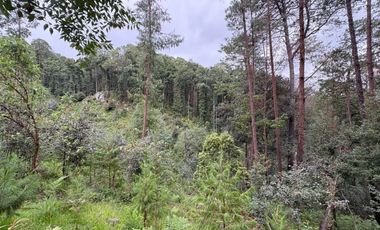 HUASCA TERRENO CAMPESTRE EN VENTA