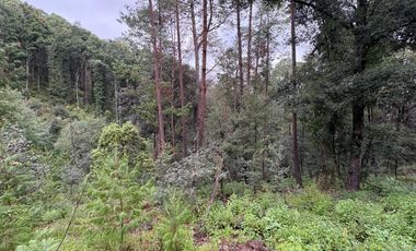 HUASCA TERRENO CAMPESTRE EN VENTA