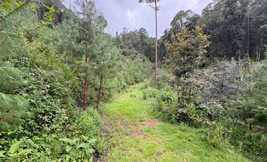 HUASCA TERRENO CAMPESTRE EN VENTA