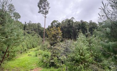 HUASCA TERRENO CAMPESTRE EN VENTA