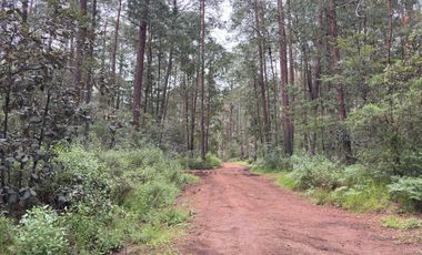 HUASCA TERRENO CAMPESTRE EN VENTA