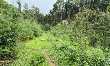 HUASCA TERRENO CAMPESTRE EN VENTA