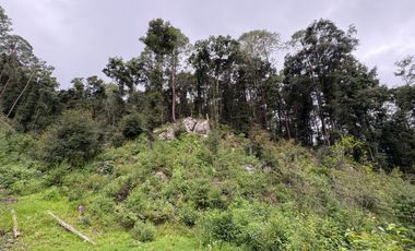 HUASCA TERRENO CAMPESTRE EN VENTA