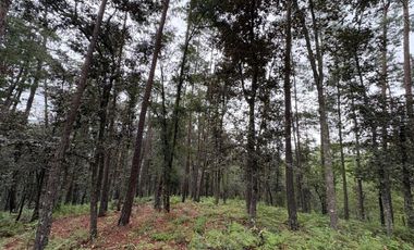 HUASCA TERRENO CAMPESTRE EN VENTA