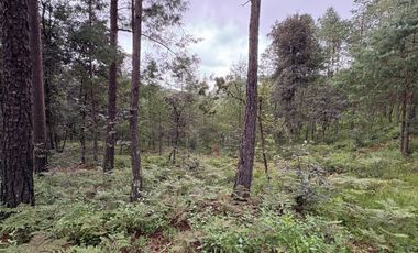 HUASCA TERRENO CAMPESTRE EN VENTA