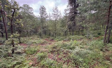 HUASCA TERRENO CAMPESTRE EN VENTA