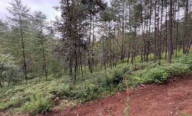 HUASCA TERRENO CAMPESTRE EN VENTA