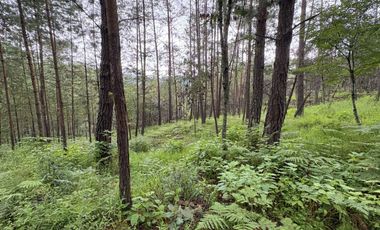 HUASCA TERRENO CAMPESTRE EN VENTA