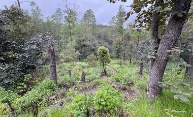 HUASCA TERRENO CAMPESTRE EN VENTA