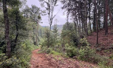 HUASCA TERRENO CAMPESTRE EN VENTA