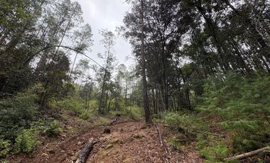 HUASCA TERRENO CAMPESTRE EN VENTA