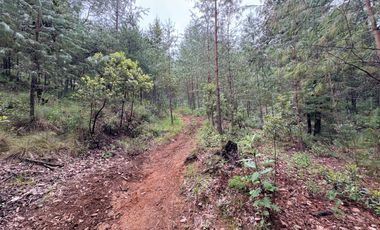 HUASCA TERRENO CAMPESTRE EN VENTA