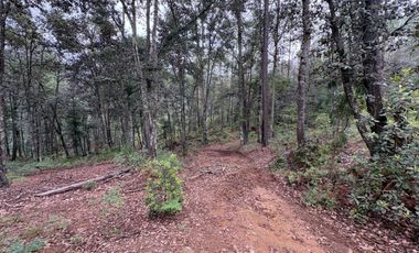 HUASCA TERRENO CAMPESTRE EN VENTA