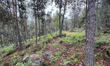 HUASCA TERRENO CAMPESTRE EN VENTA