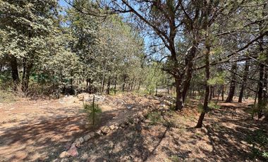 HUASCA RANCHO SAN FRANCISCO TERRENO EN VENTA