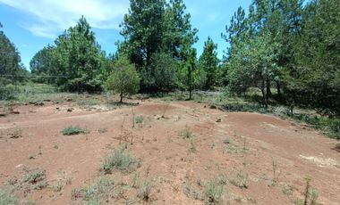 HUASCA RANCHO SAN FRANCISCO TERRENO EN VENTA