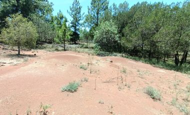 HUASCA RANCHO SAN FRANCISCO TERRENO EN VENTA