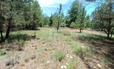 HUASCA RANCHO SAN FRANCISCO TERRENO EN VENTA