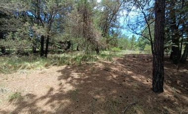 HUASCA RANCHO SAN FRANCISCO TERRENO EN VENTA