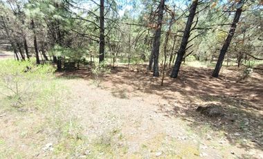 HUASCA RANCHO SAN FRANCISCO TERRENO EN VENTA