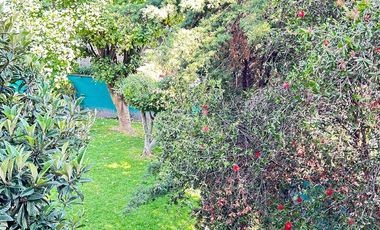 ZONA RESIDENCIAL CON TODOS LOS SERVICIOS