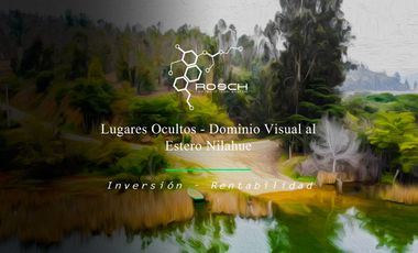 Increíble Terreno de 1HA con vista panorámica al estero Nilahue