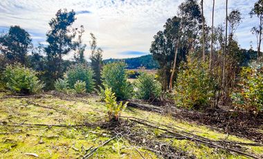 Increíble Terreno de 1HA con vista panorámica al estero Nilahue