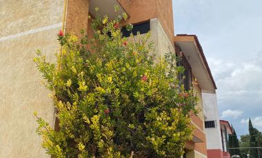 RENTA DE CASA EN PRIVADA CON 3 CASAS, PORTON ELECTRICO Y  LUGAR MUY SEGURO