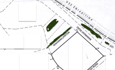 Income Generating Resort For Sale in General Luna Siargao