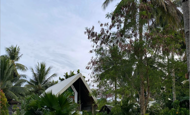 Income Generating Resort For Sale in General Luna Siargao