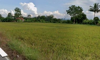 94872 - ขายที่ดิน 11ไร่1งาน 70 ตรว. ต.เวียงเหนือ อ. เวียงชัย จ.เชียงราย เชื่อมต่อเมือง สนามบิน แหล่งท่องเที่ยวได้รวดเร็ว