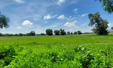 Terreno plano de 5 hectáreas en Tecámac, propio para desarrollo.