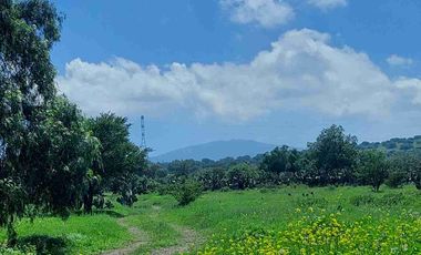 Terreno plano de 5 hectáreas en Tecámac, propio para desarrollo.