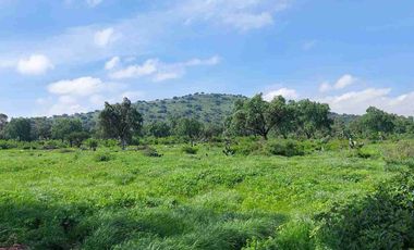 Terreno plano de 5 hectáreas en Tecámac, propio para desarrollo.