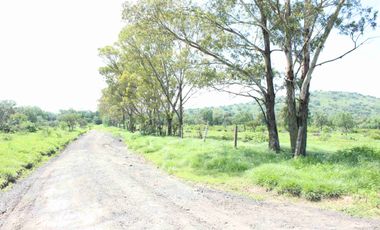 Terreno plano de 5 hectáreas en Tecámac, propio para desarrollo.