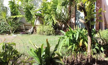 CASA - DOS LOCALES - DEPARTAMENTO