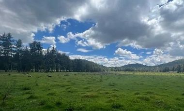 VENTA LOTE DE TERRENO CARRETERA A TENERIA, SAN NICOLAS TENANCINGO