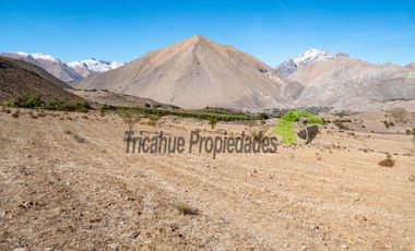 Parcelas con agua de riego y crédito directo, a 10 minutos de Vicuña. Desde $38 millones