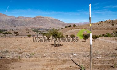 Parcelas con agua de riego y crédito directo, a 10 minutos de Vicuña. Desde $38 millones