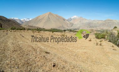 Parcelas con agua de riego y crédito directo, a 10 minutos de Vicuña. Desde $38 millones