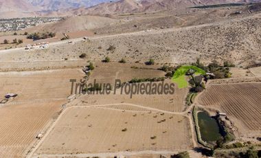 Parcelas con agua de riego y crédito directo, a 10 minutos de Vicuña. Desde $38 millones