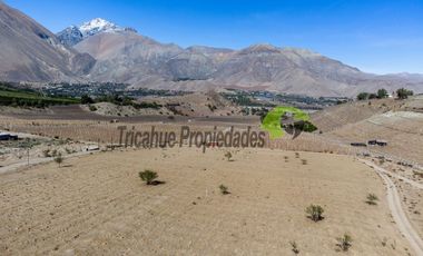 Parcelas con agua de riego y crédito directo, a 10 minutos de Vicuña. Desde $38 millones