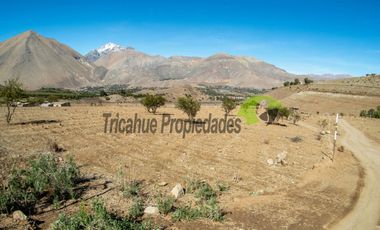 Parcelas con agua de riego y crédito directo, a 10 minutos de Vicuña. Desde $38 millones