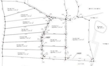 Parcelas con agua de riego y crédito directo, a 10 minutos de Vicuña. Desde $38 millones