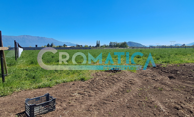 Venta Parcela 1-D En Loteo El Maitén, Sector La Compañía