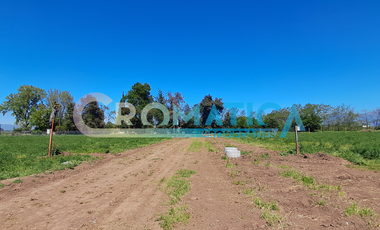 Venta Parcela 1-D En Loteo El Maitén, Sector La Compañía